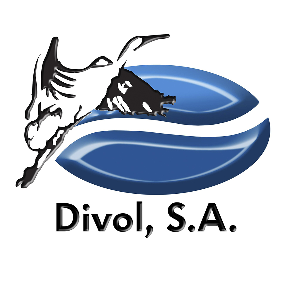 Logo de Divol S.A.