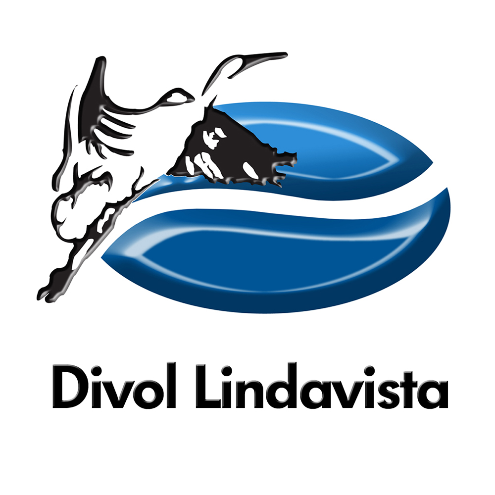 Logo de Divol Linda Vista